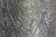 Carpenters Hill fibreglass roof work